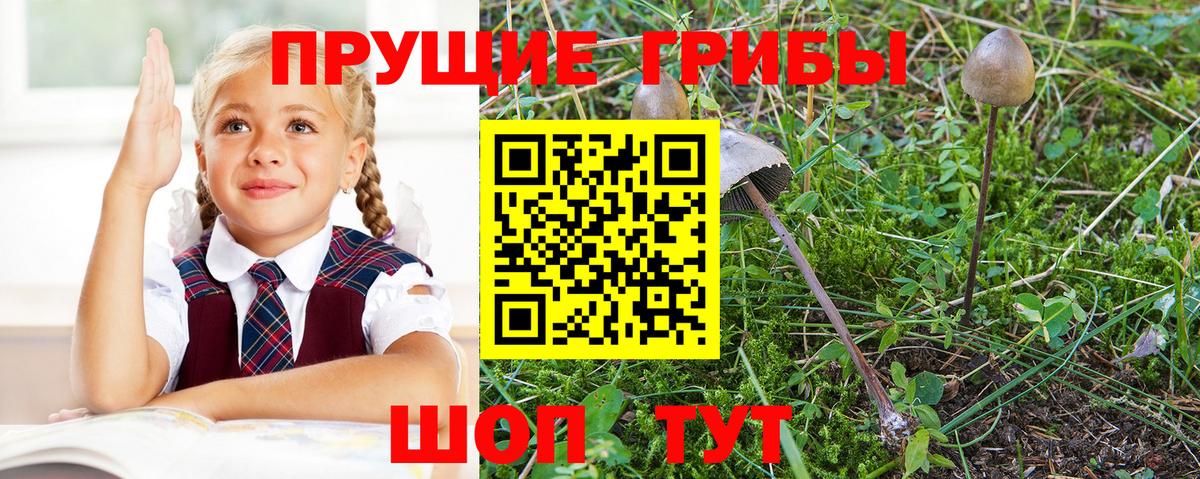 Городец  Галлюциногенные грибы Cubensis  Псилоцибиновые грибы мицелий  Вход с VPN 